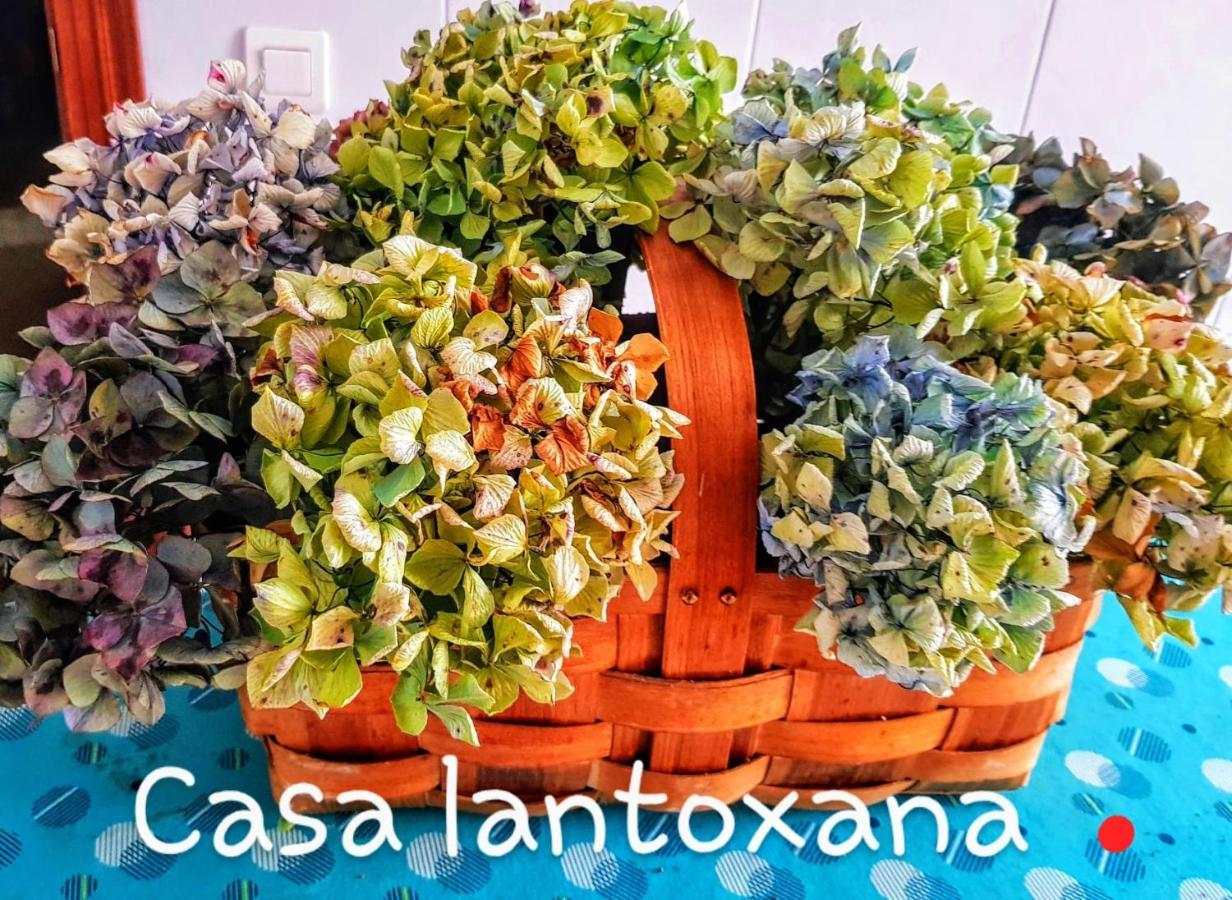 Casa Lantoxana 1a121 Appartement